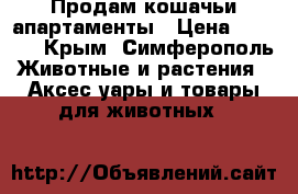 Продам кошачьи апартаменты › Цена ­ 7 000 - Крым, Симферополь Животные и растения » Аксесcуары и товары для животных   